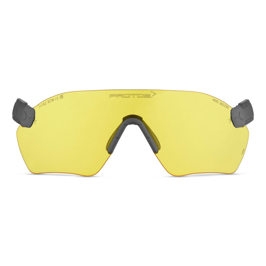 PROTOS® Schutzbrille
